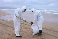 Илососы спасут черноморские курорты от мазута