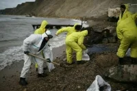 Краснодарскому краю выделят до 1,5 млрд рублей в связи с разливом мазута