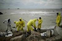 Глава Минприроды: Загрязненные мазутом пляжи приведут в порядок к лету
