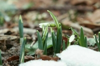 В Москве побит температурный рекорд 1914 года для 27 января