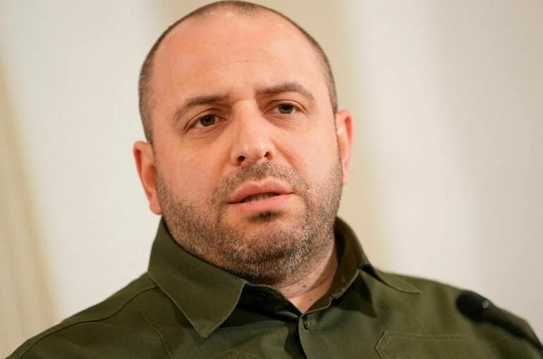 Против министра обороны Украины возбудили уголовное дело