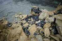 Незначительные выбросы мазута зафиксировали на участках пляжей Анапы