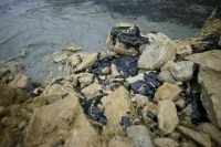 Незначительные выбросы мазута зафиксировали на участках пляжей Анапы
