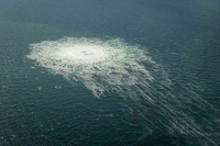 В Дании объяснили консервацию «Северного потока-2» желанием сохранить его