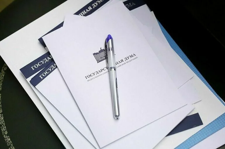 ЛДПР предложила не поддерживать детские объединения, признанные иноагентами