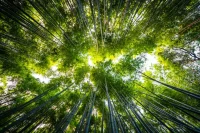 На Кубани намерены развивать экологическое образование