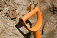 Сведения о нахождении памятников археологии предлагают сделать общедоступными