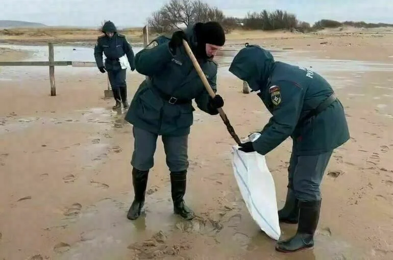 Волонтерам расширили полномочия