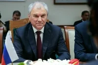 Володин предложил активизировать работу межпарламентской комиссии России и Индии