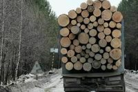 В Госдуме предложили переходный период для подключения лесовозов к ГЛОНАСС