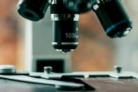 В России будут готовить специалистов по селекции и генетике сельхозрастений