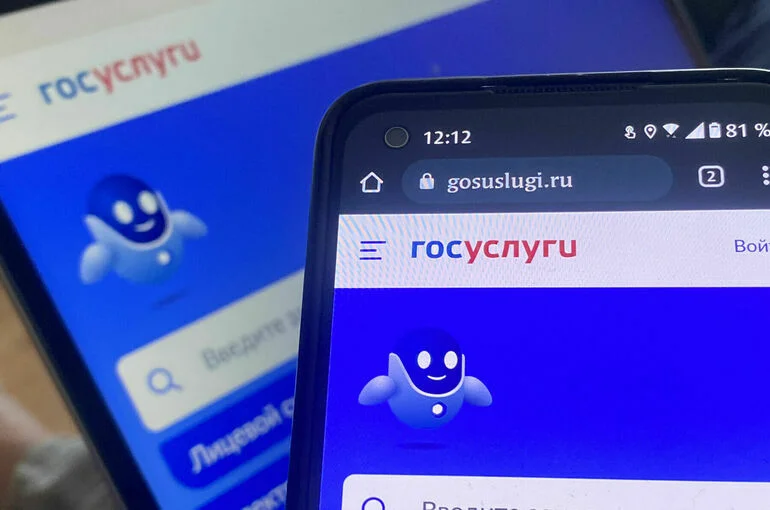 Подтверждать оплату штрафа предлагают в отдельном модуле приложения «Госуслуги»