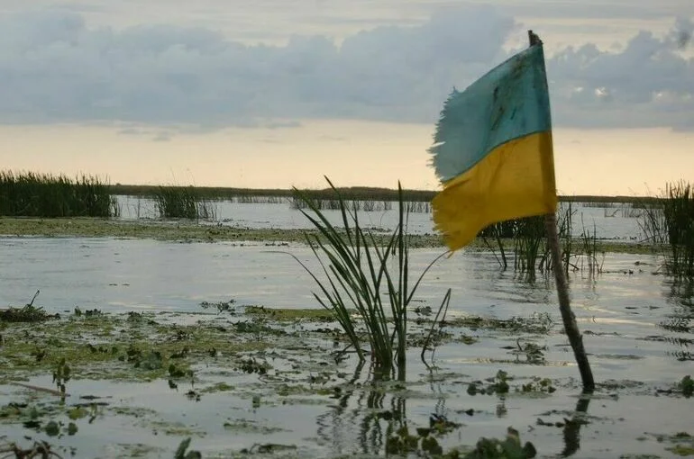 СМИ: Украина просит гарантий от США насчет редкоземельных металлов