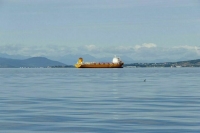 В России проверят состояние танкерного флота