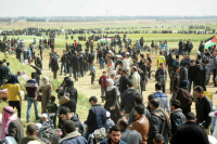 Трамп считает, что жители Газы будут рады покинуть анклав