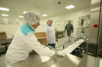 В России создадут гибкую систему разработки профстандартов