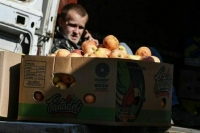 «Арестованная» еда станет гуманитарной помощью