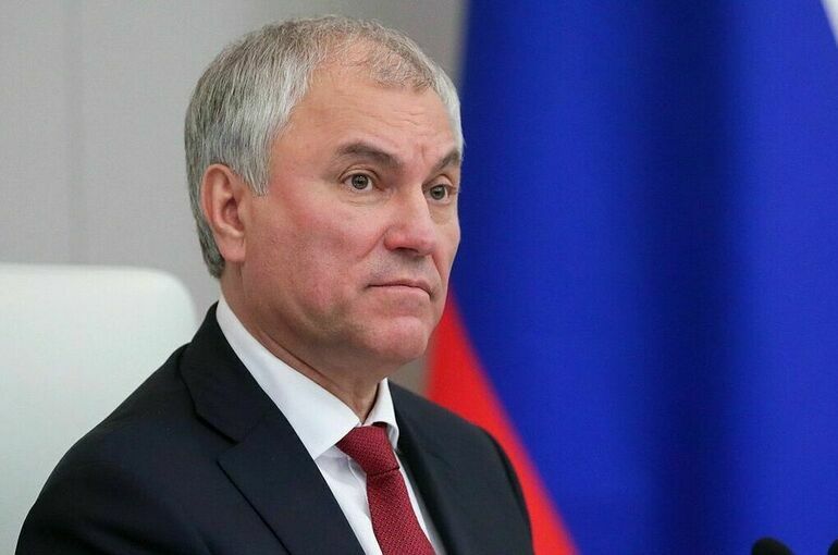 Володин прокомментировал принятый в ЕС закон о добавках из насекомых