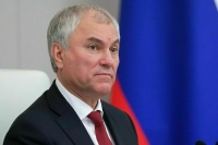 Володин прокомментировал принятый в ЕС закон о добавках из насекомых