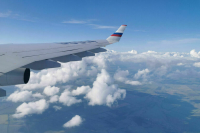 Авиакомпании хотят обязать предоставлять инвалидам удобные места в самолетах