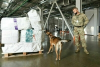 Сотрудников транспортной безопасности хотят вооружить аэрозолями со слезоточивыми веществами