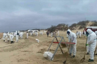 Летний сезон на Черном море откроют при соответствии пляжей требованиям