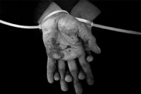 В ХАМАС заявили о готовности освободить всех израильских заложников