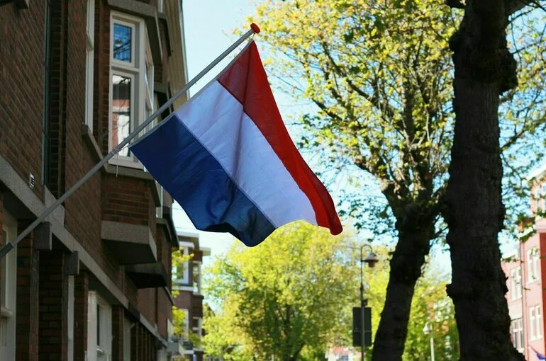 В Нидерландах заявили, что не намерены отправлять военных на Украину