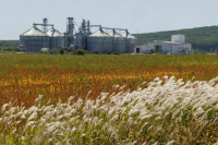 Данные о карантинных фитосанитарных зонах предложили убрать из общего доступа