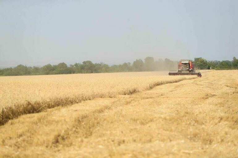 Калиматов подвел итоги реализации в Ингушетии нацпроекта «Малое и среднее предпринимательство»
