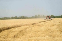 Калиматов подвел итоги реализации в Ингушетии нацпроекта «Малое и среднее предпринимательство»