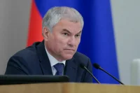 Володин поручил подготовить законопроект о защите от нападения бездомных собак
