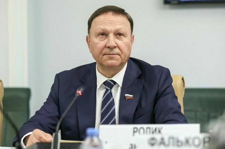 Сенатор призвал разработать программы педагогического просвещения родителей