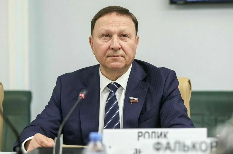 Сенатор призвал разработать программы педагогического просвещения родителей