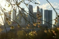 Синоптик: Метеорологическая весна может прийти в Москву после 10 марта