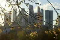 Синоптик: Метеорологическая весна может прийти в Москву после 10 марта