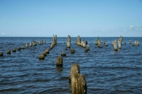 Сенаторы займутся развитием туристического потенциала Онежского озера