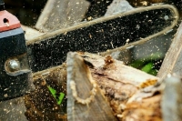 Профессий для альтернативной службы стало больше