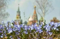 Синоптик Позднякова: В марте в целом температура будет выше климатической нормы