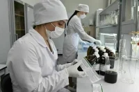 Обязательную отработку введут для всех студентов-медиков