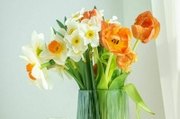 Россиянам рассказали, как выбрать цветы на 8 Марта