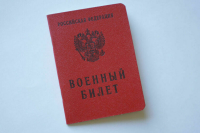 Комитет Госдумы по обороне поддержал законопроект о решении по призыву срочников