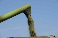 Сельхозпроизводителям в приграничных регионах сохранят статус