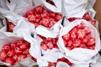 Минсельхоз: Российский рынок полностью обеспечен цветами к 8 Марта