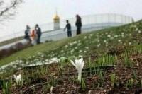 Синоптик Цыганков: температура в Москве 8 марта может побить рекорд дня