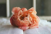 В Петербурге впервые выпустили парфюмированную праздничную прессу 