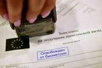 Россиянам в 2024 году выдали на 25% больше шенгенских виз, чем годом ранее