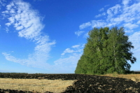 Пашню под коттедж теперь не заберешь