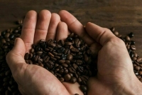 СМИ: Мировая торговля кофе практически остановилась из-за роста цен