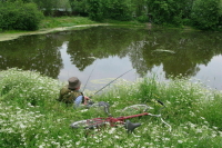 Аренду водных объектов предложили упростить